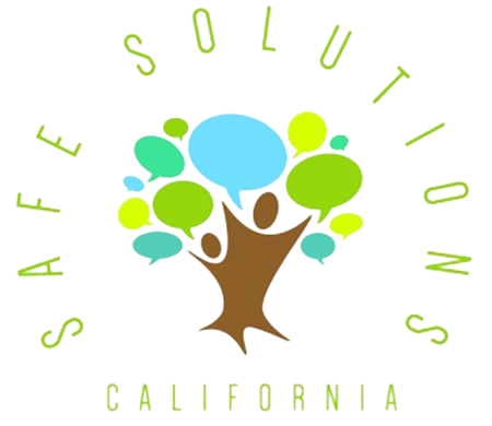 Safe Solutions Institute